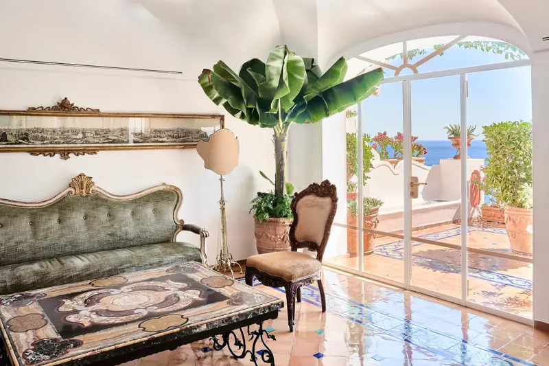 A salon with antiques and a banana plant
