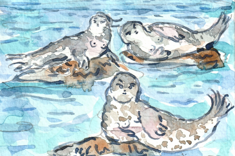 Siren Seals