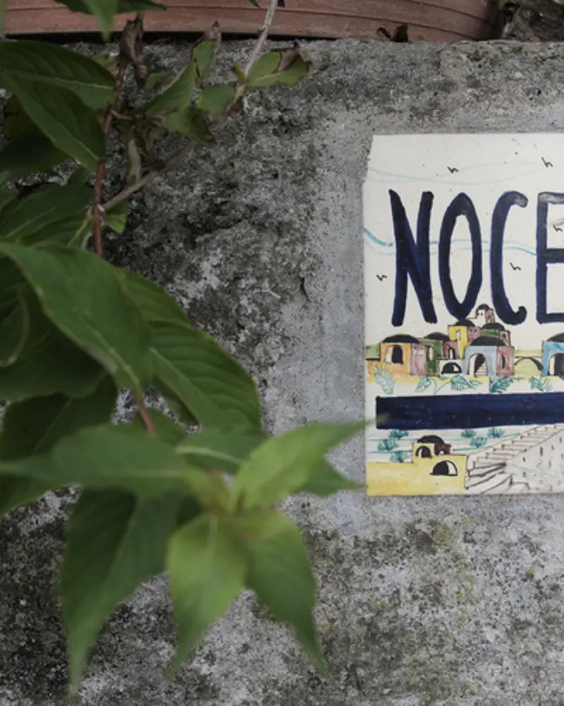 Nocele 01