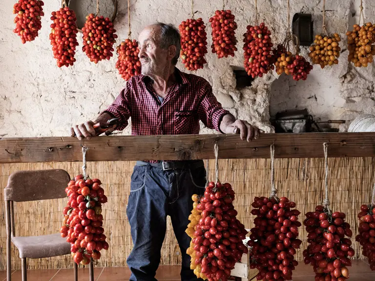 Piennolo The Hanging Tomatoes Of Vesuvius Hd