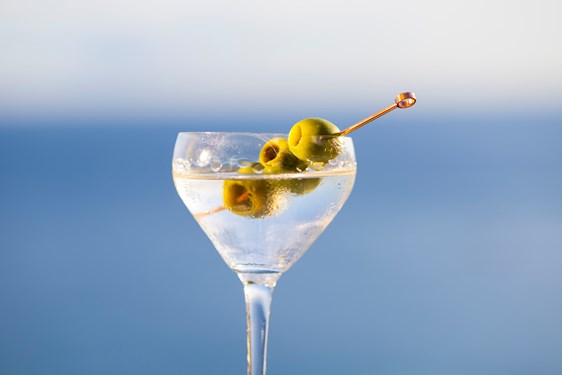 Mediterranean Martini 2